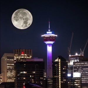 Meet your Posher, Anne